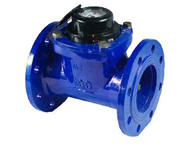 T30 Propeller Cold Water Meter