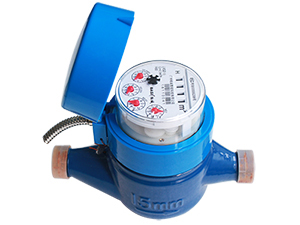 Remote Water Meter